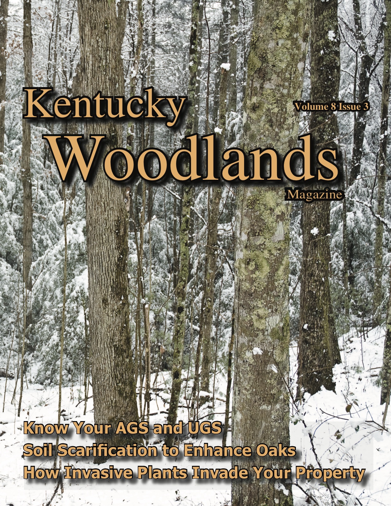 Kentucky Woodlands Magazine, Volume 8, Issue 3 Cover